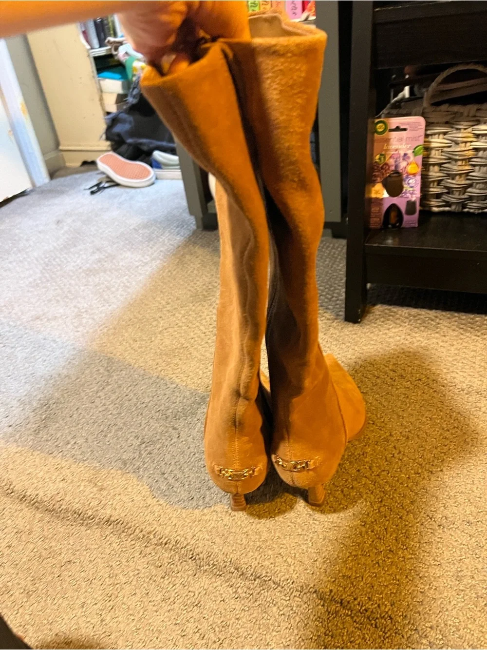 Circus by Sam Edelman Tall Pointed-Toe Suede Boots - Brown